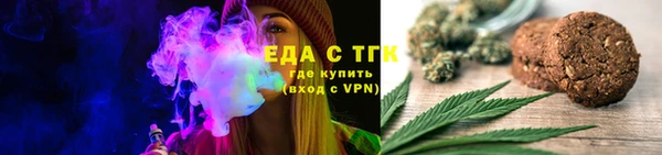 ECSTASY Алзамай