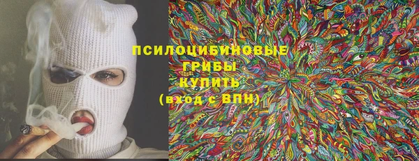 ECSTASY Алзамай
