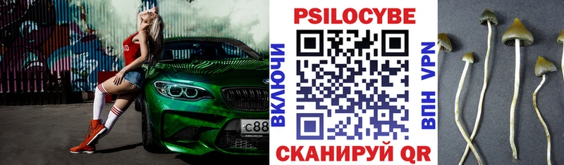 Галлюциногенные грибы ЛСД  что такое   Чадан 